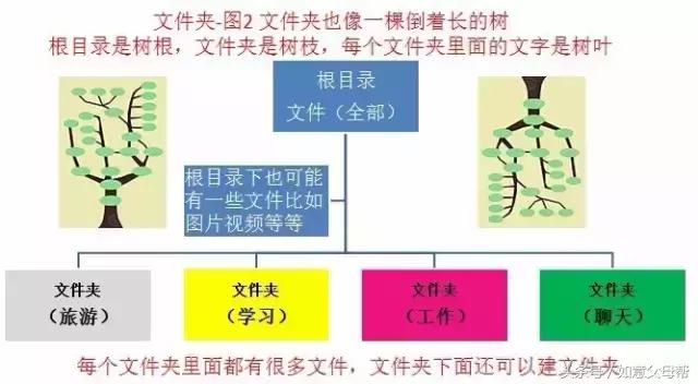 教老年人手机照片视频的备份，安装*载下**篇
