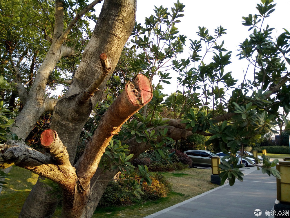竟然“金玉其外，____”，十天体验揭开魅蓝5s真相！