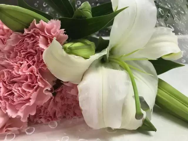 我们用1000元的教训告诉你:包月鲜花全是坑!一家都不推荐!