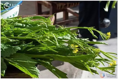 西双版纳旅游好吃的,西双版纳旅游好吃的水果