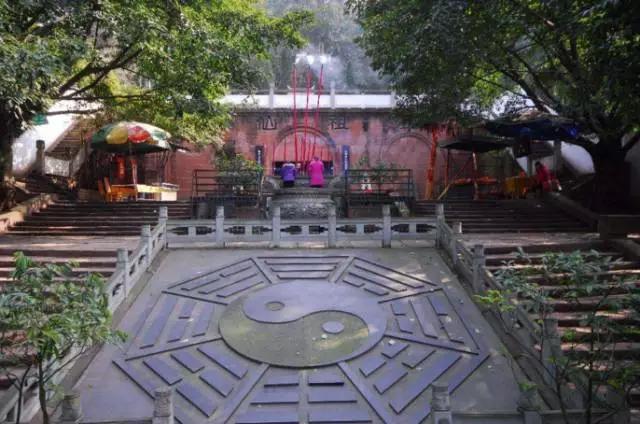 成都周边踏青二日游自驾游,春节成都看花好玩的地方推荐