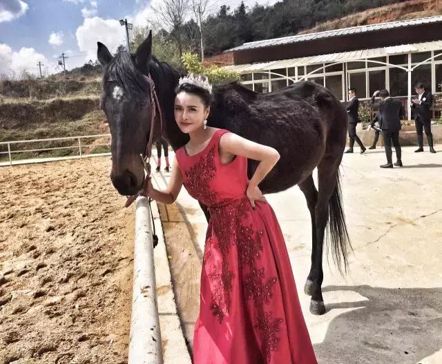 昆明二龙湖御龙马术俱乐部,贵阳市马术俱乐部