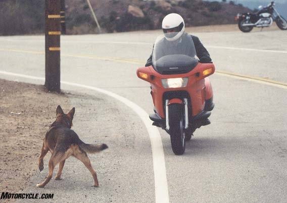 难忘红色经典,1994年本田pc800