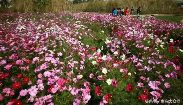 醉美滕州套餐,枣庄风景最美的景点