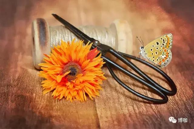 中大面辅料市场,面辅料市场哪家强