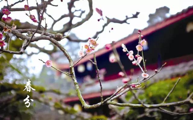 鏃犵嚎鍚堣偉鐩存挱,浠婃棩鍚堣偉鏃╂姤