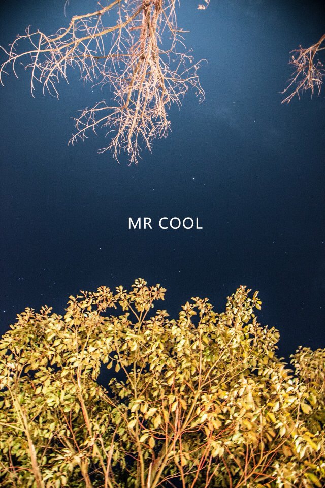 瑞安马屿曹村田园视频,瑞安马屿曹村田园风景图