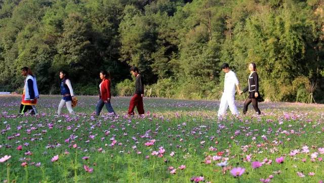 说走就走的踏青,说走就走的看花之旅