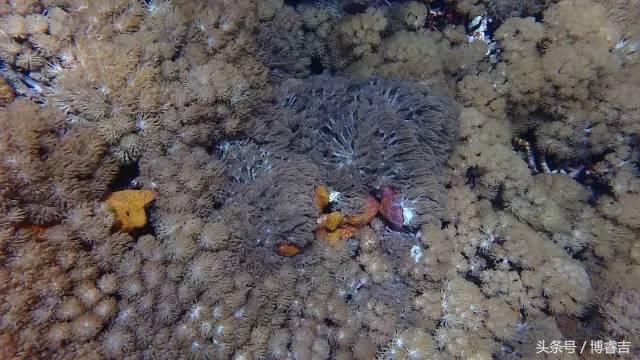 体验过你从未体验过的情感,体验你没体验过的人生