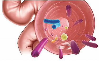 各种关节病,各种风湿骨病