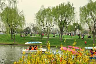 合肥早报新闻,安徽合肥今日新闻直播