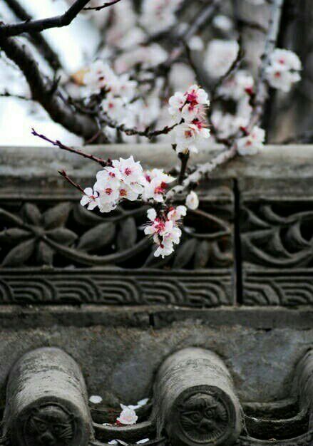 轻松读好经典古诗,常见读起来朗朗上口的古诗词