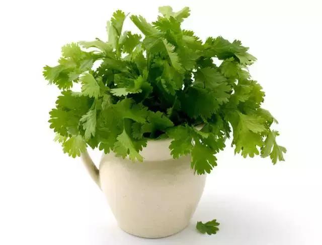 林心如和刘涛的保养,林心如刘涛谁好看