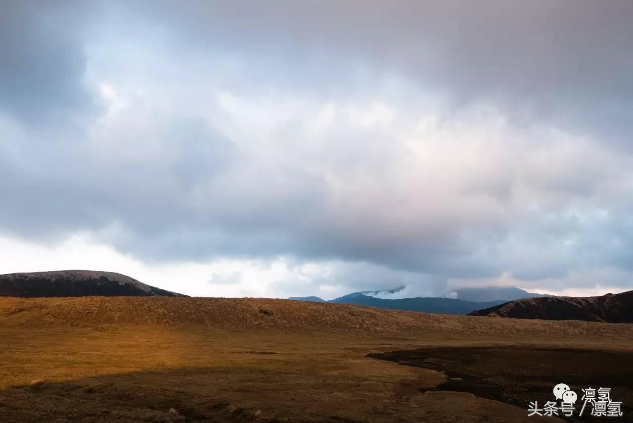 去日本自由行最好的攻略,去日本自由行攻略详细