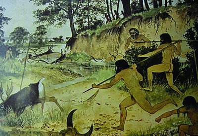 人类直立行走的奥秘,原始人走路