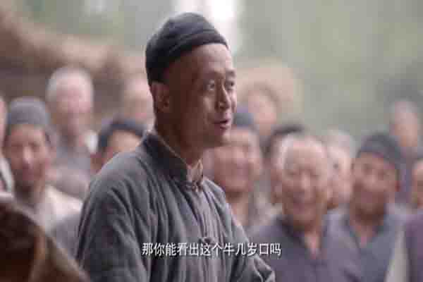 看牙口怎样辨别牛的年龄,怎样根据牛的牙齿判断年龄