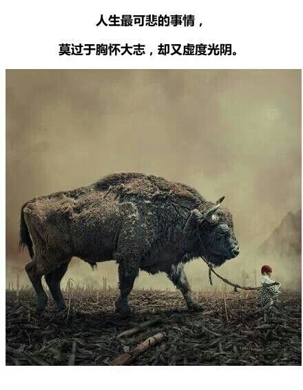 影视剧中的脑筋急转弯片段,盘点影视中的脑筋急转弯