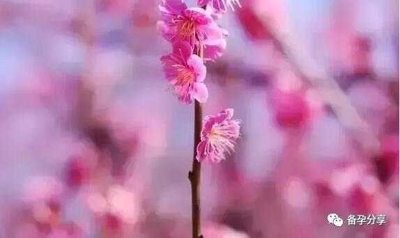 有疤痕体质的人能做剖腹产吗,剖腹产疤痕体质多久适合要二胎