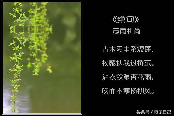 小楼一夜听春雨的下半句是什么,小楼一夜听春雨什么意思