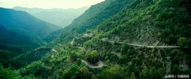 昆虫的微观小世界,微观世界每只昆虫都有它的故事