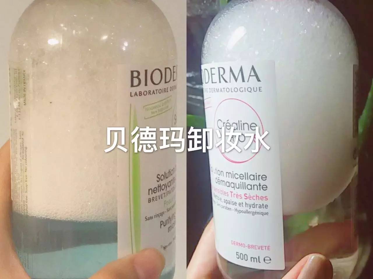 敲黑板划重点一本正经胡说八道,敲黑板事件视频