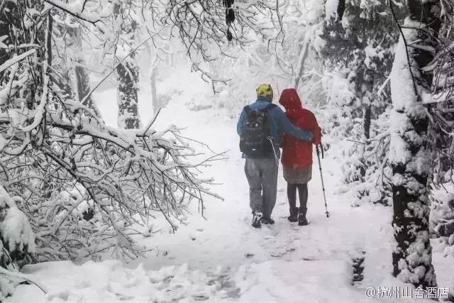 杭州旅游攻略酒店住宿三天两晚,杭州旅游攻略住宿排名