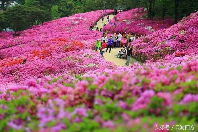 昆明禄劝风景,昆明禄劝的风景