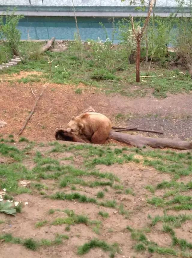 堪称瑞士旅游达人的钟表编辑们分享巴展期间“吃喝玩住”全攻略！