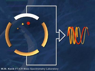 20张动图秒懂四大名谱原理！
