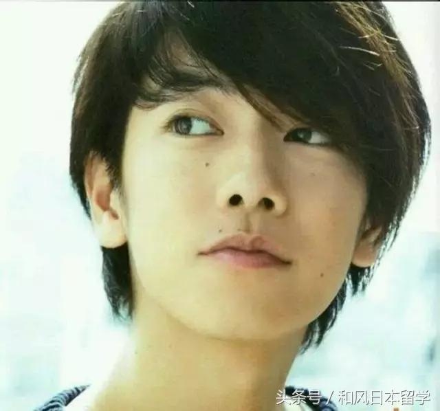 佐藤健颜值评价,佐藤健在日本颜值排名