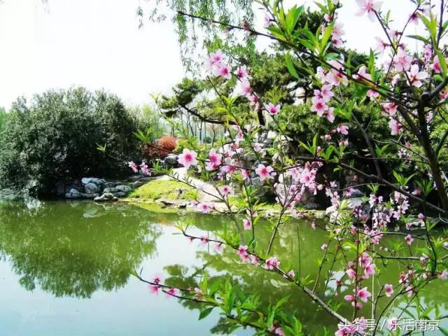 免费公园南京,南京十大公园排行榜