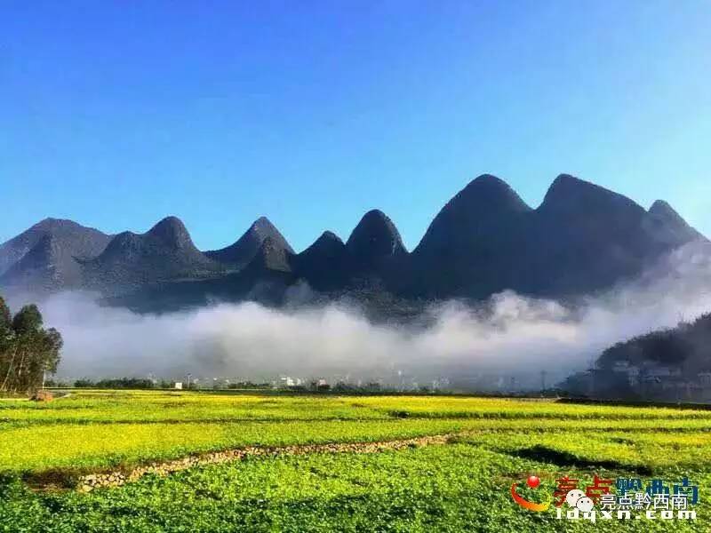 贵州万峰林油菜花怎么玩,贵州万峰林最美油菜花视频