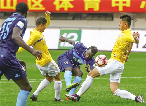 呼和浩特小草,呼和浩特小草图片