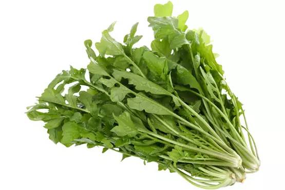 三月的味道，霞浦的野味正当时，给你的味蕾放个假