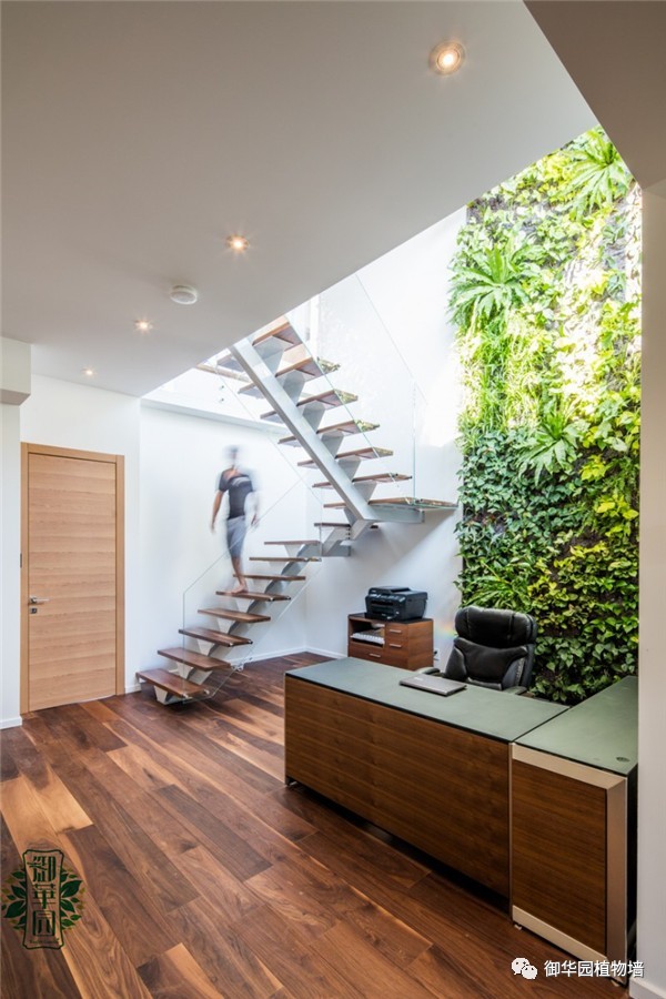 禅意风植物墙,特色植物墙