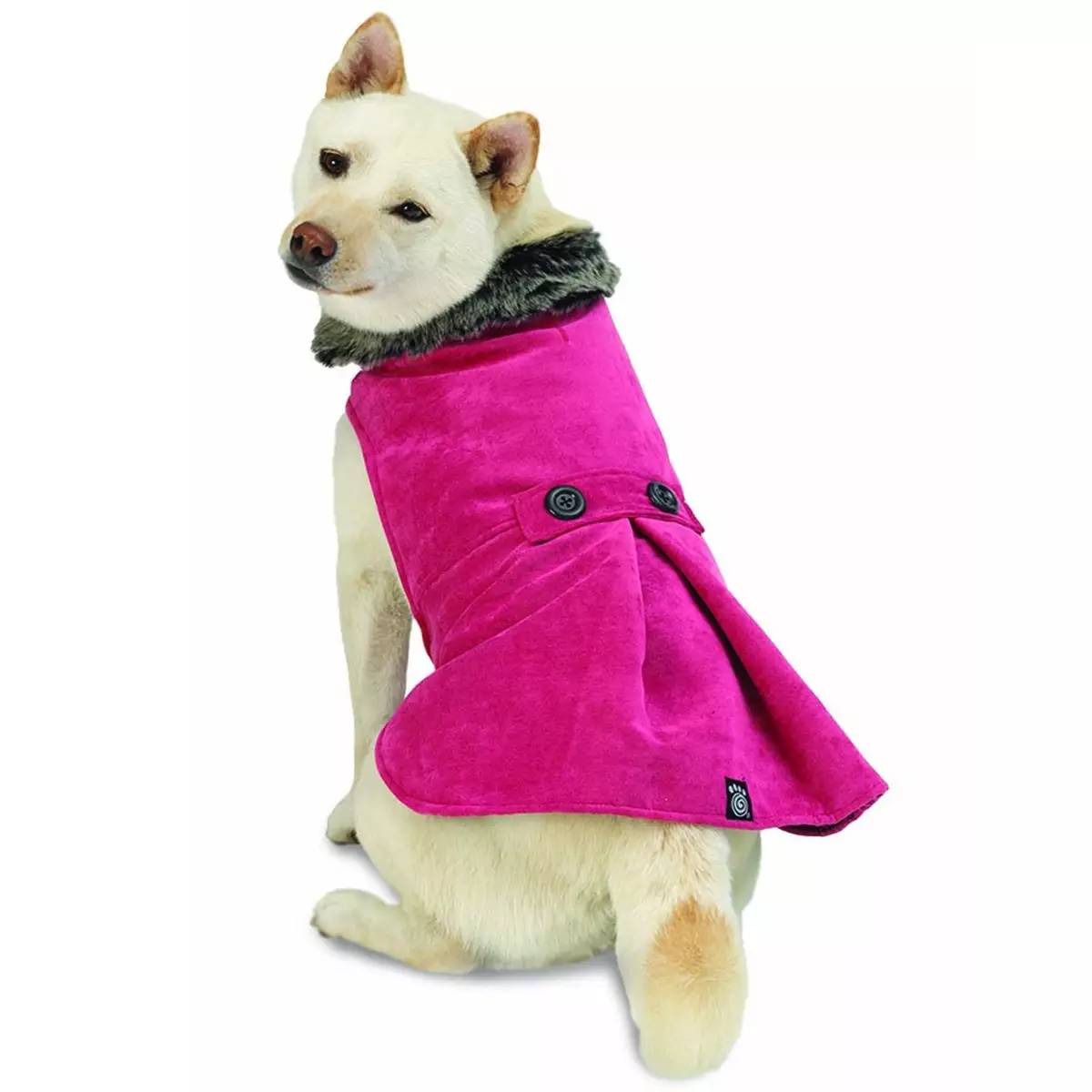 今年夏季服装最流行什么样的,今年最流行的春季服饰是什么样的