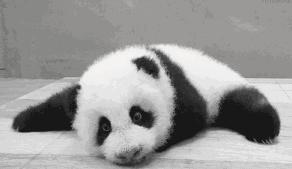 不用姨妈巾也可以止住血的东西,不用姨妈巾用啥代替