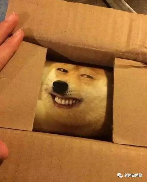 盘点那些被315曝光的商品,315内幕特辑视频