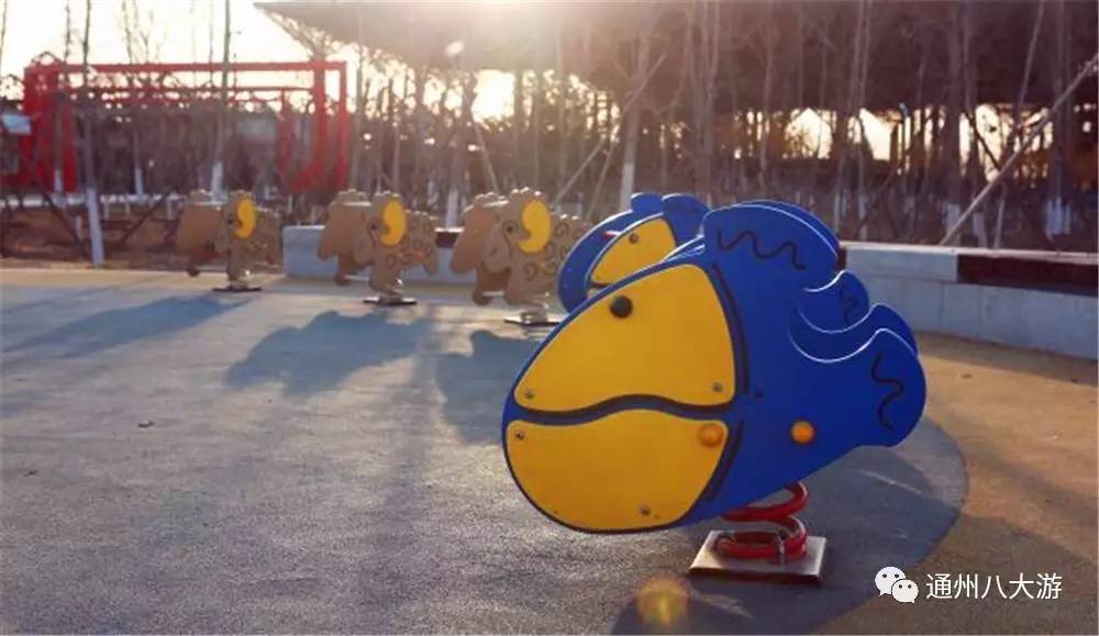 小小的世界大大的你免费观看,小小的世界大大的快乐