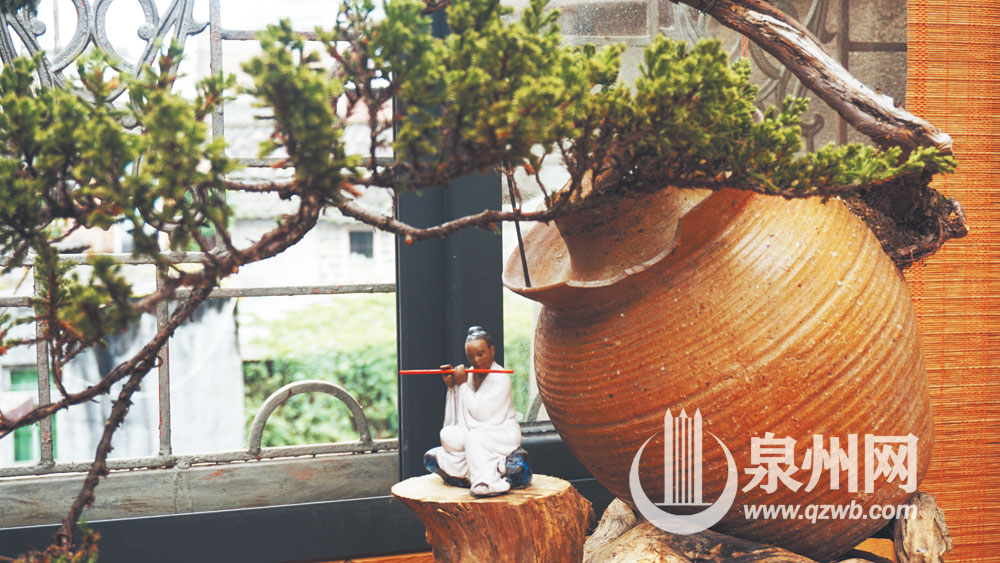 把空酒瓶做成盆景视频,废旧酒瓶制作的盆景