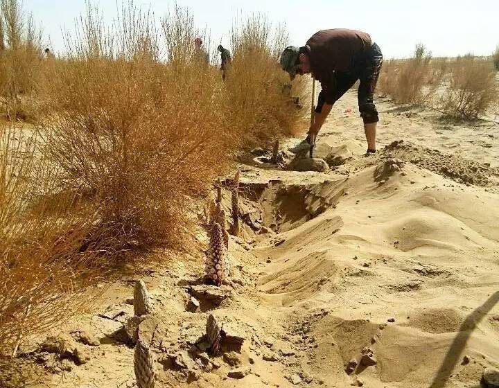 且末县2023年重点项目招标,且末县30万亩土地开发项目