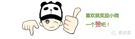 成都地铁五期规划33号线取消了吗,成都地铁最近有新消息吗