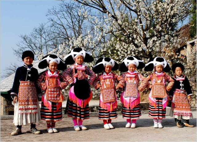 贵州旅游推荐2-3天游免费景区,贵州旅游5折优惠有哪些景点