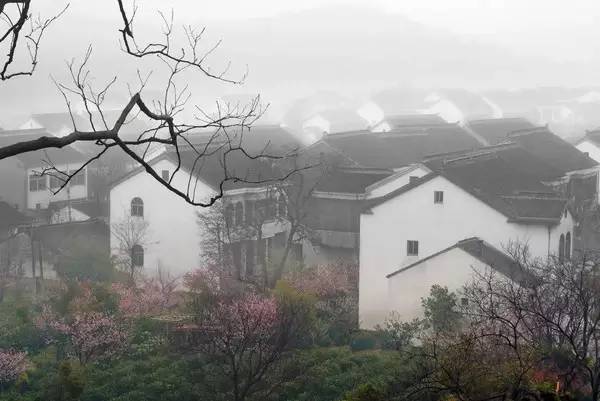 树山只差一个你丨梨花年年开,好玩的却不同