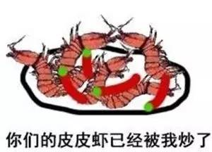 大连海洋馆搬运动物,大连海鲜搬运工