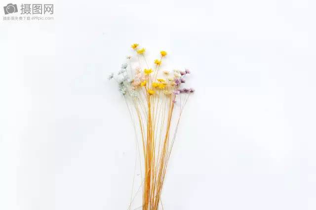 贵阳高中排名一览表最新,贵阳高考中学点位分布