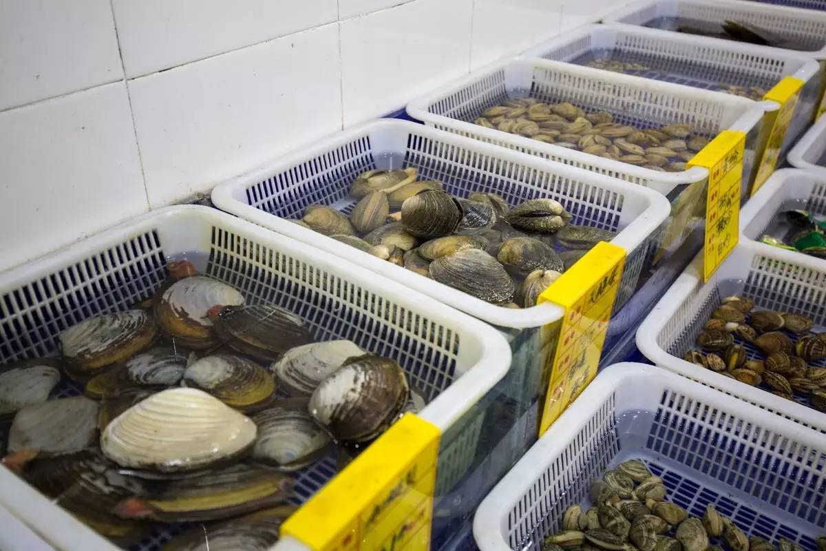 大连海洋馆搬运动物,大连海鲜搬运工