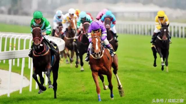 板上钉钉！17项国际赛事贯穿成都今年！牛！