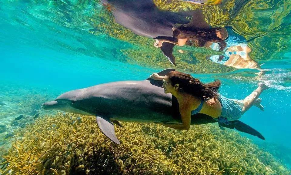 刘强东与奶茶妹妹的婚礼举办地大堡礁到底有多美？自己去看！