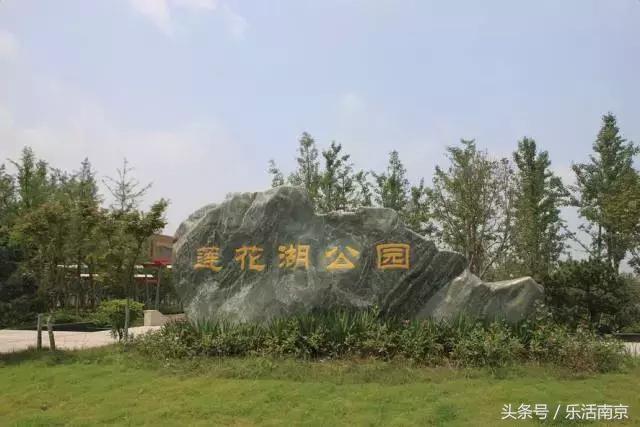 南京免费公园免费开放日一览表,南京最大的公园排名